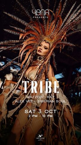 TRIBE