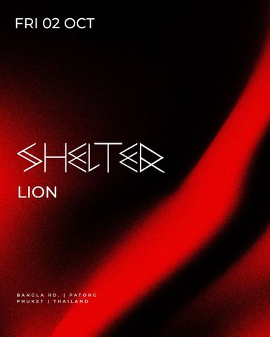 Lion в Shelter